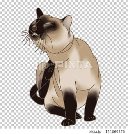 猫 足かきポーズ 猫 足かきポーズ 131869376
