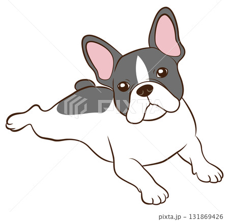 伏せをするフレンチブルドッグ01（パイド） 131869426