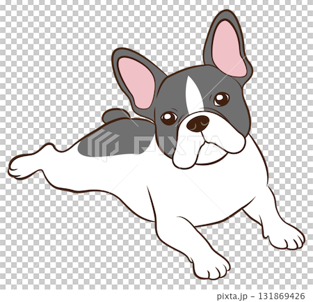 伏せをするフレンチブルドッグ01（パイド） 131869426