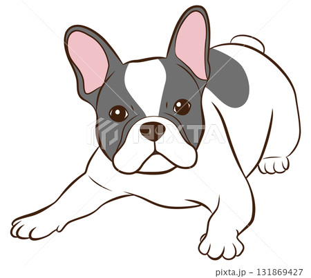 伏せをするフレンチブルドッグ02（パイド） 131869427