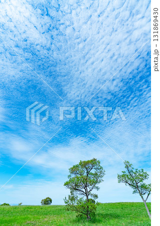 秋の雲と草原 131869430