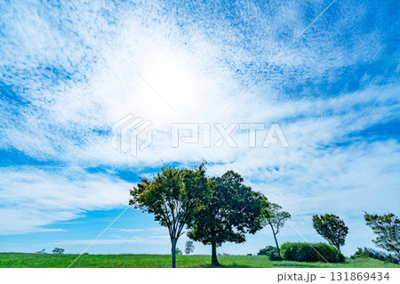 秋の雲と草原 131869434