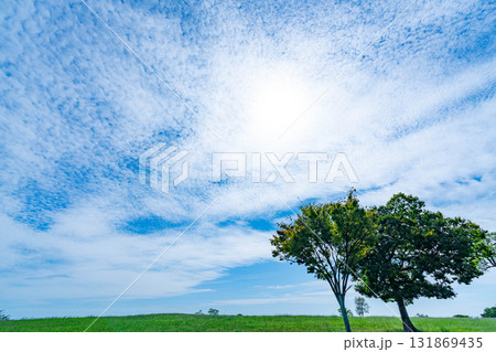 秋の雲と草原 秋の雲と草原 131869435