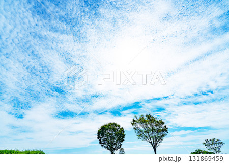 秋の雲と木立 131869459