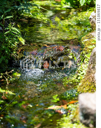 深大寺の夏の爽やかな景色 清涼な湧き水の清流 深大寺の夏の爽やかな景色 清涼な湧き水の清流 131869817
