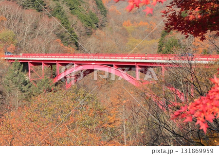 紅葉に染まる東沢大橋と八ヶ岳 131869959