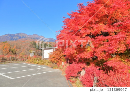 紅葉に染まる東沢大橋と八ヶ岳 131869967