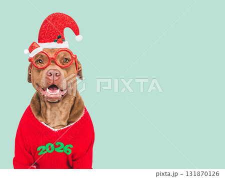 Merry Christmas and Happy New Year. Cute dog 131870126