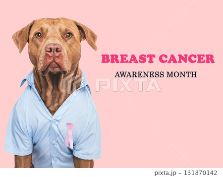 Cute dog and Pink Awareness Ribbon. Express moral support 131870142