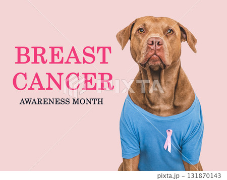 Cute dog and Pink Awareness Ribbon. Express moral support Cute dog and Pink Awareness Ribbon. Express moral support 131870143