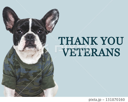 Veterans Day. Adorable puppy, American Flag and congratulatory inscription Veterans Day. Adorable puppy, American Flag and congratulatory inscription 131870160