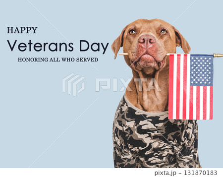 Veterans Day. Adorable puppy, American Flag and congratulatory inscription 131870183