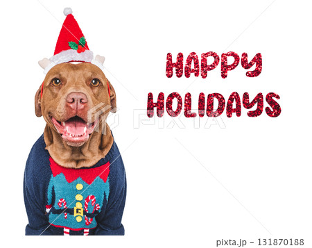 Merry Christmas and Happy New Year. Cute dog 131870188