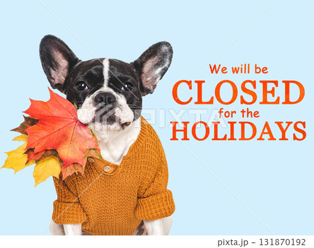 We will be closed for the Holidays. Cute puppy We will be closed for the Holidays. Cute puppy 131870192