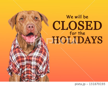 We will be closed for the Holidays. Cute dog We will be closed for the Holidays. Cute dog 131870193