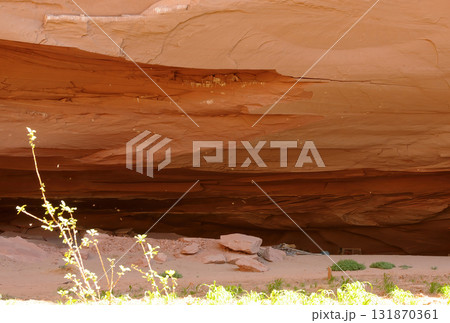 Surrounding Terrain, Cliffs, and Valley Canyon De Chelly Arizona 131870361