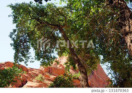 Surrounding Terrain, Cliffs, and Valley Canyon De Chelly Arizona 131870363