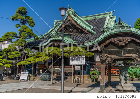 葛飾柴又帝釈天の帝釈堂と見事な松の木 131870693
