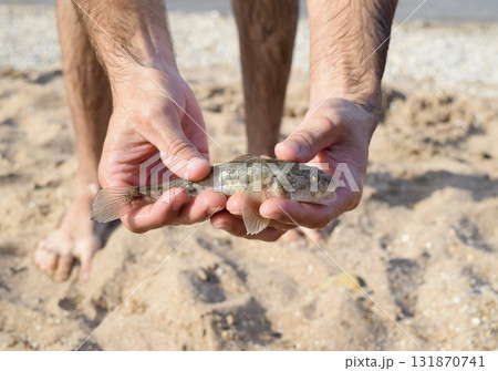 The fish is a bull in the hands of a man. The fish is a bull in the hands of a man. 131870741