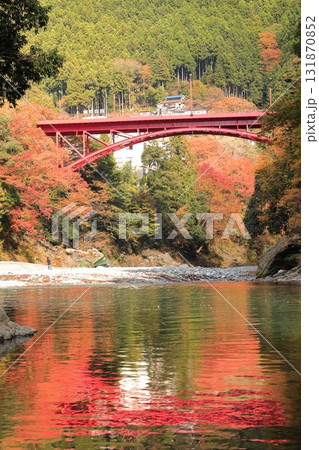 氷川渓谷の紅葉 131870852