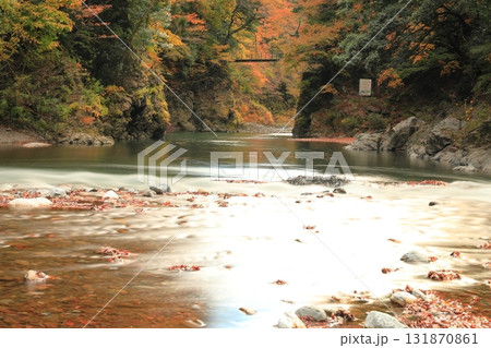 氷川渓谷の紅葉 131870861