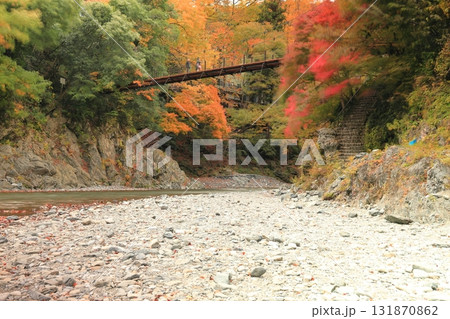 氷川渓谷の紅葉 氷川渓谷の紅葉 131870862