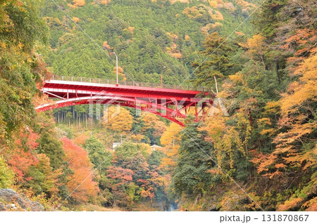 氷川渓谷の紅葉 氷川渓谷の紅葉 131870867