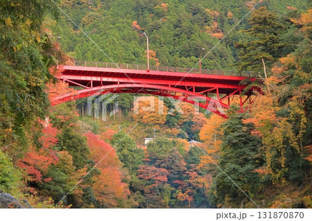 氷川渓谷の紅葉 氷川渓谷の紅葉 131870870