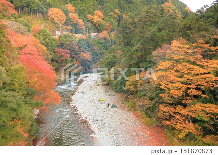 氷川渓谷の紅葉 131870873