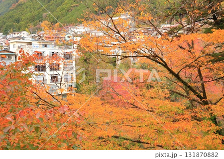 氷川渓谷の紅葉 131870882