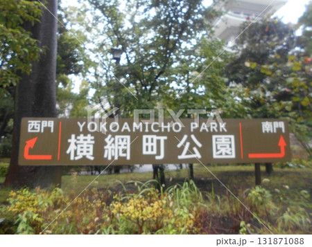 横網町公園その4 131871088