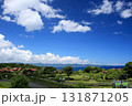 岬の見える風景 131871205