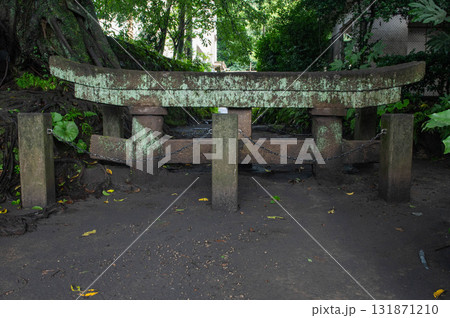 腹五社神社の黒神埋没鳥居 腹五社神社の黒神埋没鳥居 131871210