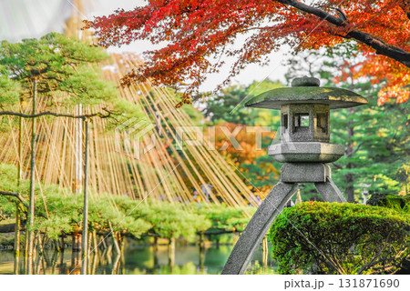 紅葉と雪吊りに彩られた金沢兼六園のことじ灯籠 131871690