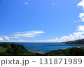 ある岬の見える風景 131871989