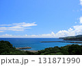 ある岬の見える風景 131871990