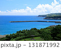 ある岬の見える風景 131871992