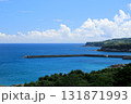 ある岬の見える風景 131871993