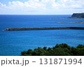 ある岬の見える風景 131871994