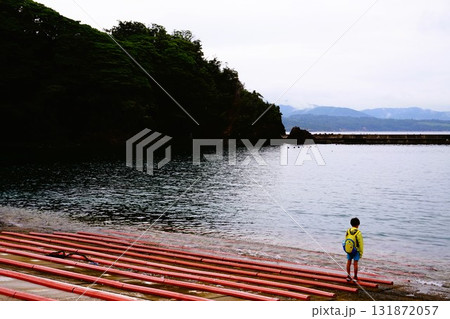 田代島 猫の島 ネコ 大泊港 田代島 猫の島 ネコ 大泊港 131872057