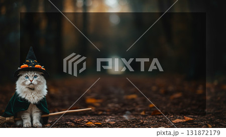 暗い森の中でハロウィンの仮装を楽しむ白い長毛猫・黒ベース・テキストスペースあり 131872179