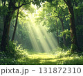 森の木漏れ日が差し込む癒やしのグリーン背景 131872310