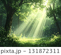 森の木漏れ日が差し込む癒やしのグリーン背景 131872311