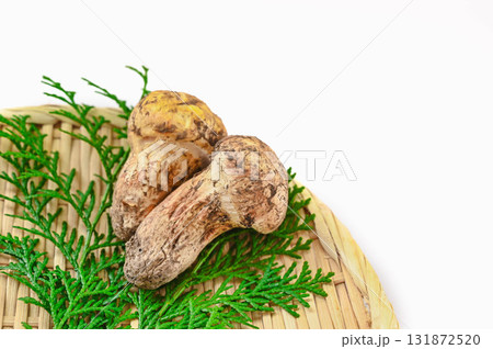 秋の味覚 松茸 秋の味覚 松茸 131872520
