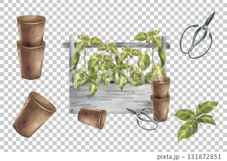 Gardening watercolor illustrations set with flower clay pot, scissors and green basil springs. Hand drawn floral clipart with herb spices painting, home plant hobby drawing for sticker,grocery design Gardening watercolor illustrations set with flower clay pot, scissors and green basil springs. Hand drawn floral clipart with herb spices painting, home plant hobby drawing for sticker,grocery design 131872851