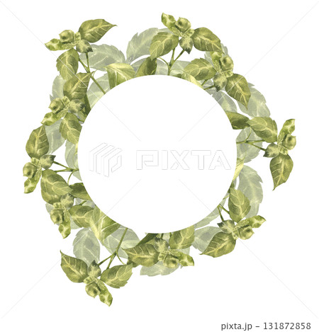 Aromatic herbs watercolor wreath template for product packing ,eco design. Hand drawn basil aromatic sprouts frame for vegan food,menu, condiment design. Italian cuisine ingredient Aromatic herbs watercolor wreath template for product packing ,eco design. Hand drawn basil aromatic sprouts frame for vegan food,menu, condiment design. Italian cuisine ingredient 131872858