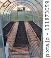 An empty greenhouse with prepared soil after harvesting. 131873059