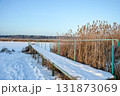 An old rustic wooden pier on Ivanovsky Bay in winter. Ulyanovsk. Russia 131873069