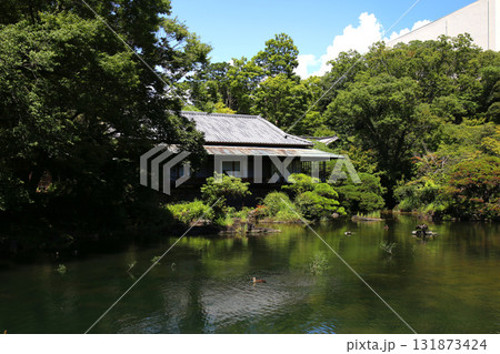 楽寿館と小浜池 楽寿館と小浜池 131873424