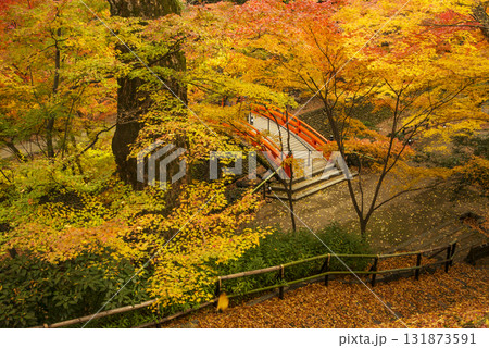 北野天満宮の紅葉苑 紅葉と赤い橋 京都の紅葉の名所 秋の京都観光スポット 北野天満宮の紅葉苑 紅葉と赤い橋 京都の紅葉の名所 秋の京都観光スポット 131873591